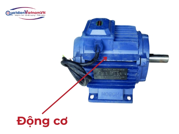 Động cơ: Gắn trực tiếp, êm ái, truyền động tối ưu