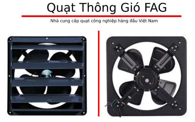 Quạ thong gio vuong shoohan