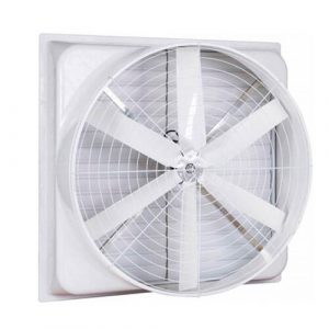 quat thong gio combosite 850x850