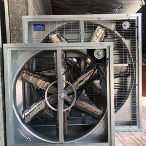 quat thong gio vuong 1100x1100