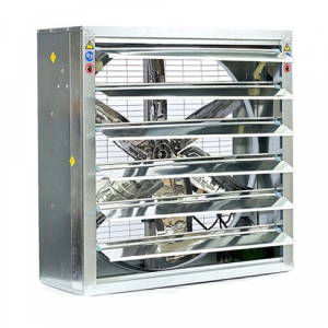 quat thong gio vuong 1220x1220