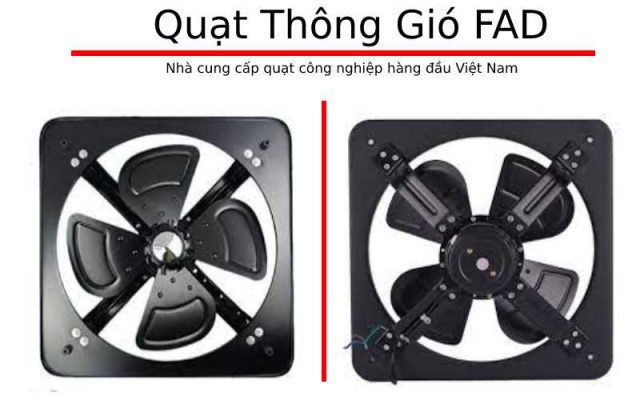 quat thong gio vuong shoohan FAD