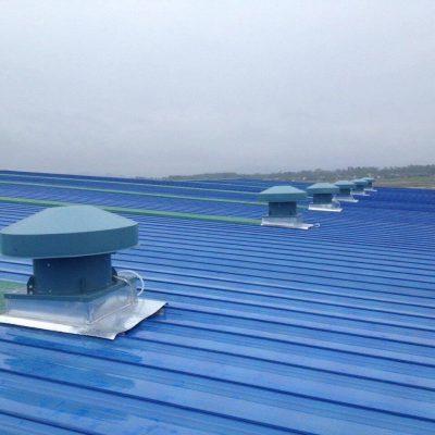 quat thong gio noc hut mai