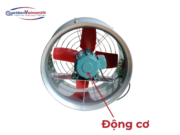 Motor 1 pha, lõi đồng 100%, bạc đạn chất lượng cao, tản nhiệt hiệu quả