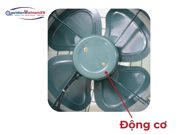 Motor cảm ứng hai cực, dây đồng 100%, truyền động trực tiếp, bảo vệ quá tải
