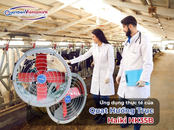 Ứng dụng thực tế của Quạt hướng trục Haiki HK35B
