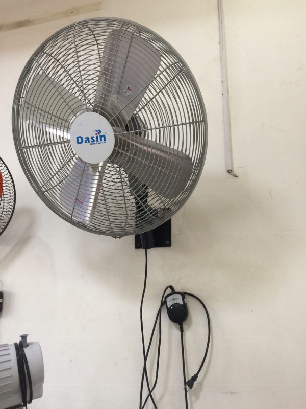 quat treo tương dasin