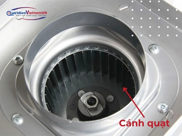 Cánh quạt lồng sóc kim loại, động cơ 100% dây đồng