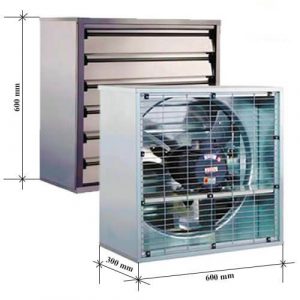 quat thong gio vuong 600x600