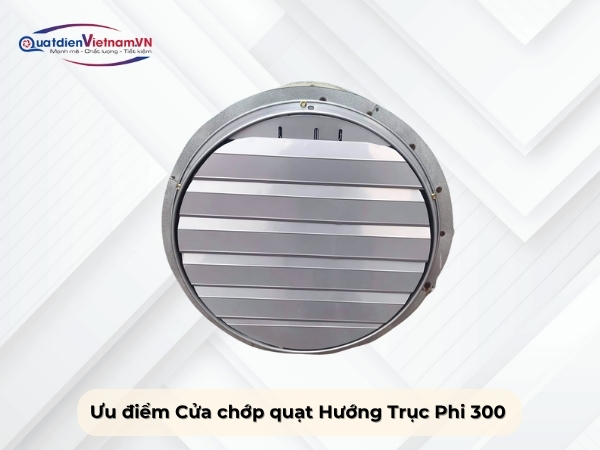 Ưu điểm cửa chớp quạt hướng trục phi 300