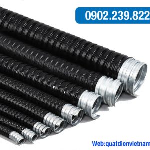 ong ruot ga luon day dien