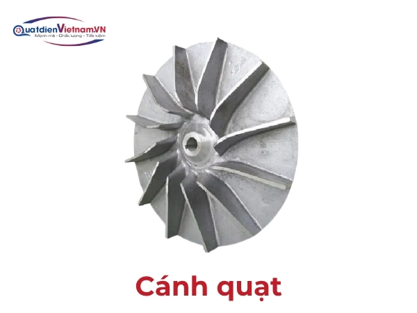 Cánh quạt lồng sóc 8-12 lá, thép CT3/Inox 304, cân bằng động chính xác