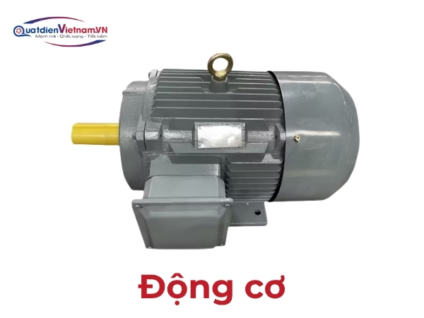 Motor 3 pha 10HP, lõi đồng nguyên chất, truyền động trực tiếp qua trục thép carbon