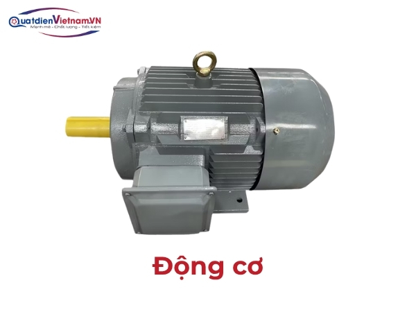 Động cơ 3 pha, đặt ngoài luồng khí, truyền động qua dây curoa, bảo vệ động cơ khỏi bụi bẩn