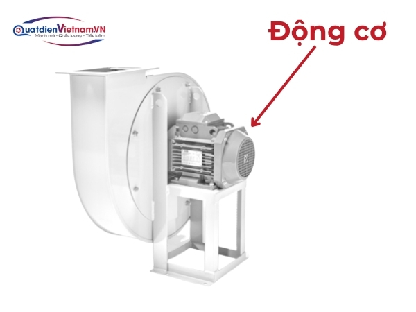 Động cơ Teco, Toàn Phát, Vihem, dây đồng 100%, truyền động trực tiếp hoặc gián tiếp