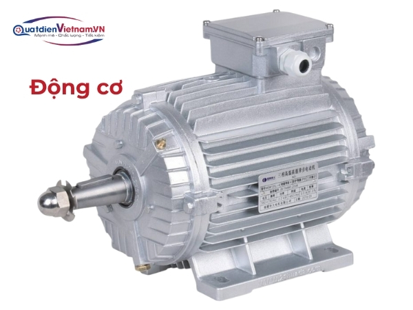 Motor 1 pha 220V, công suất 750W, truyền động trực tiếp