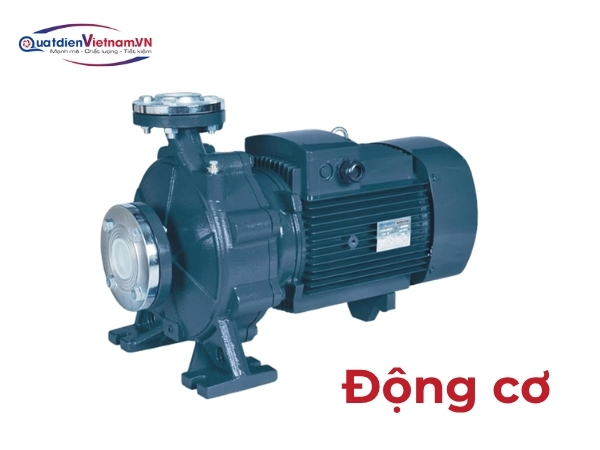 Motor 15HP, truyền động trực tiếp, điện áp 380V/50Hz