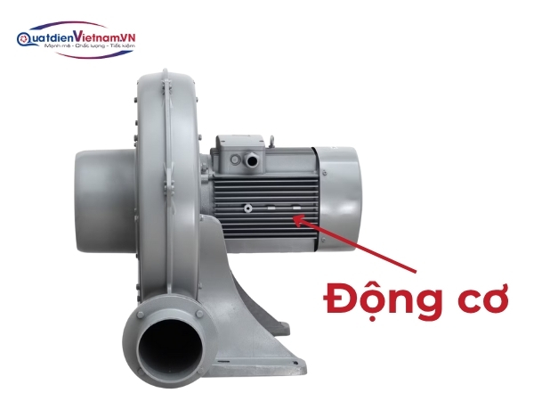 Motor 3 pha 2HP, dây quấn đồng 100%, bảo vệ IP54