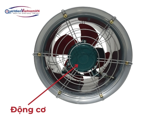 Motor dây đồng 100%, vòng bi chất lượng cao, động cơ ly tâm ổn định