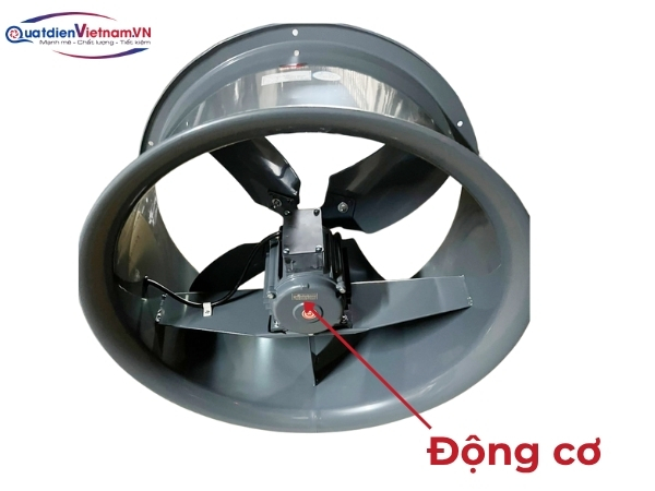 Motor dây đồng nguyên chất, tản nhiệt vượt trội, hiệu suất năng lượng cao