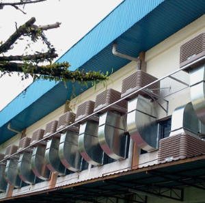 máy làm mát nhà xưởng