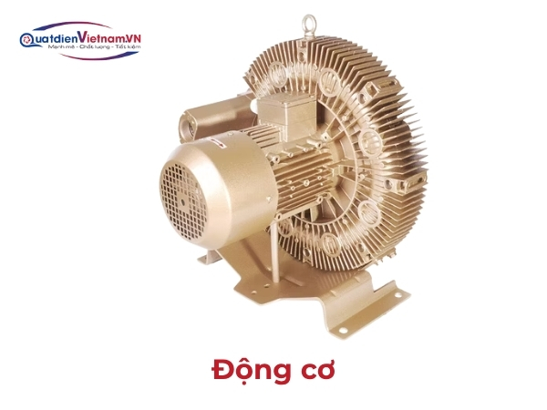 Motor 3HP, Toàn Phát, Teco, ABB, Vihen, truyền động trực tiếp, tiết kiệm điện