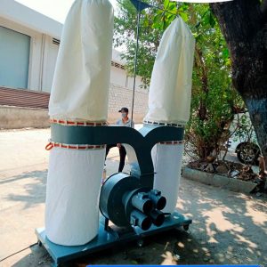 quat hut bui li tam 2 tui vai