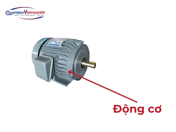 Động cơ hoạt động bền bỉ với điện áp 220V 50Hz