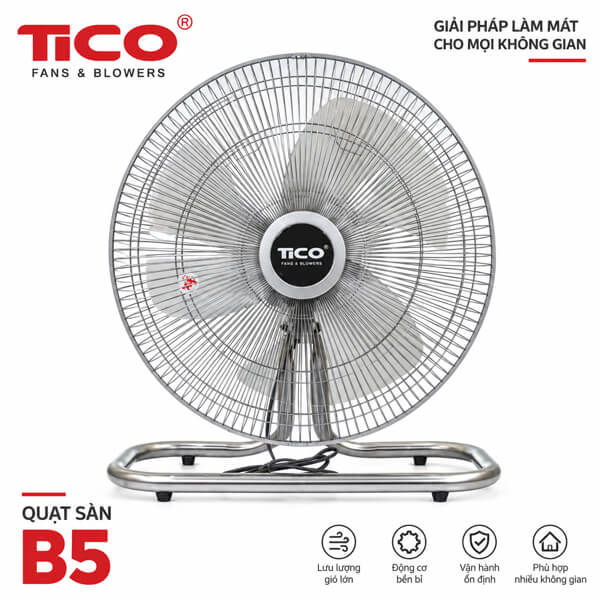 quat san tico B5