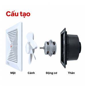cau tao quat hut am tran thang tico