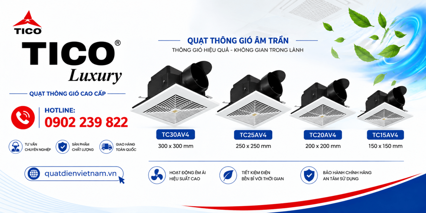 quat hut am tran tico