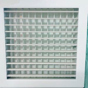 miệng gió sọt trứng