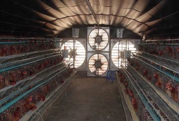 Quạt công nghiệp thông gió