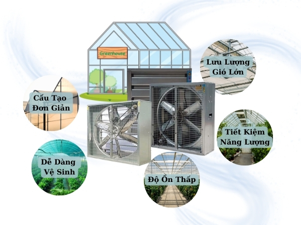 5 Ưu điểm nổi bật của quạt thông gió khi lắp đặt trong nhà kính