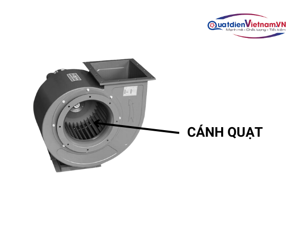 Cánh quạt lồng sóc với lá cong tối ưu, tạo luồng gió mạnh và áp suất cao vượt trội