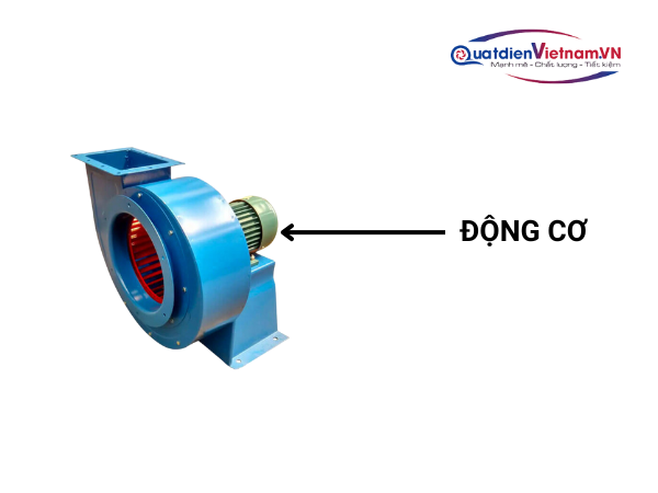 Động cơ 20HP chính hãng, truyền động trực tiếp, mạnh mẽ và tiết kiệm năng lượng