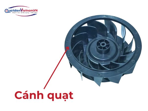 Cánh quạt: Lồng sóc, cánh cong, số lượng lá cánh nhiều