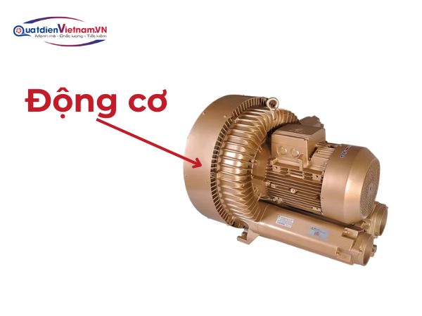 Động cơ: Công suất 10HP, tốc độ 1400 vòng/phút, lắp trực tiếp