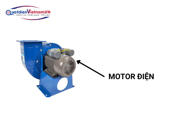 Motor 2HP mạnh mẽ, bền bỉ như trái tim quạt, đảm bảo vận hành ổn định suốt thời gian dài.