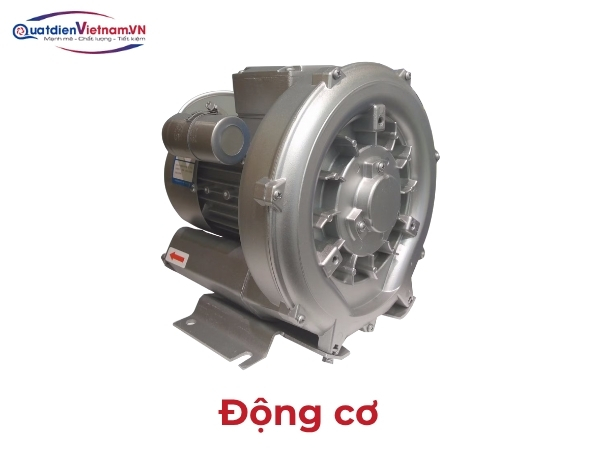 Motor gắn trực tiếp, dây đồng 100%, thương hiệu Toàn Phát, ABB, Teco, Vihem
