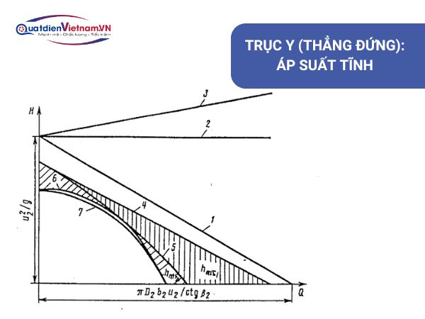 Trục Y (Thẳng đứng): Áp suất tĩnh