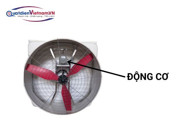 Động cơ được lắp đặt khép kín trong khung quạt