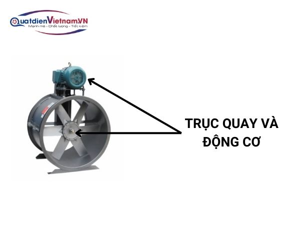Trục quay được chế tạo từ thép không gỉ, động cơ được gắn rời để kéo dài tuổi thọ cho quạt