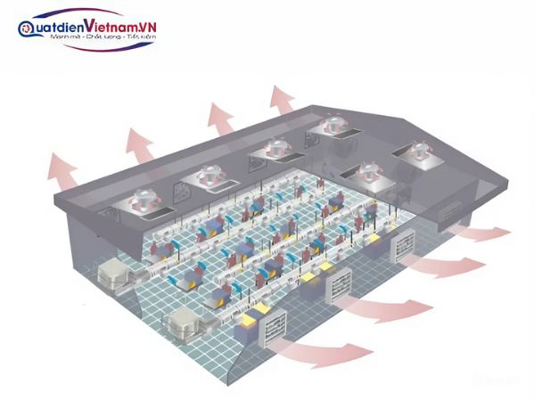 Nhà xưởng với hệ thống quạt thông gió vận hành hiệu quả và bố trí hợp lý