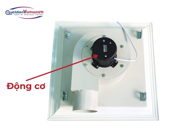 Động cơ bạc đạn, tuổi thọ 30.000 giờ, cân bằng động chính xác