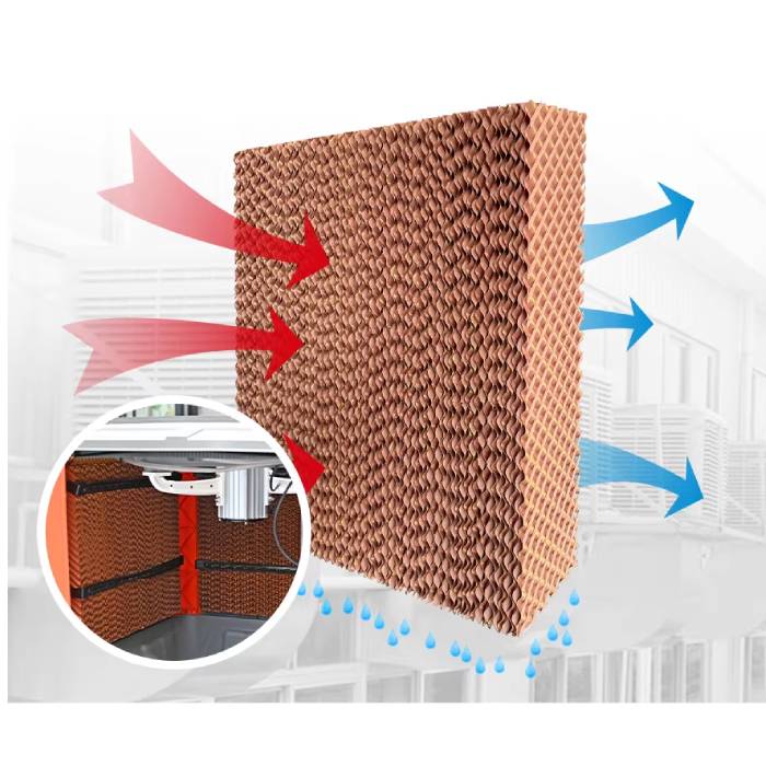 kha nang lam mat bang tam coling bad