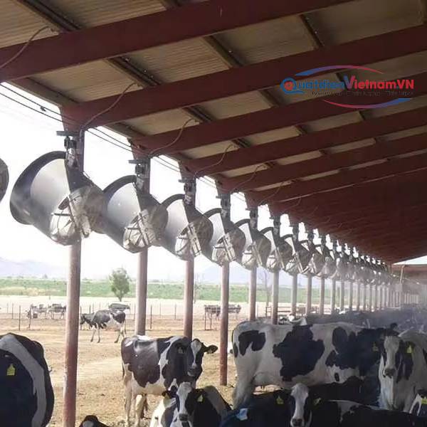 quat huong truc dung trong trang trai