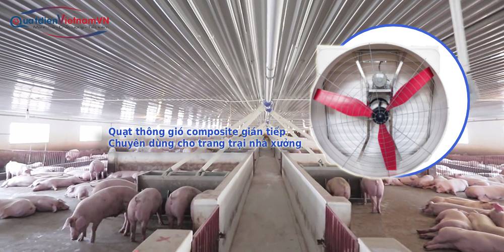 quat hut thong gio trang trai lon gian tiep